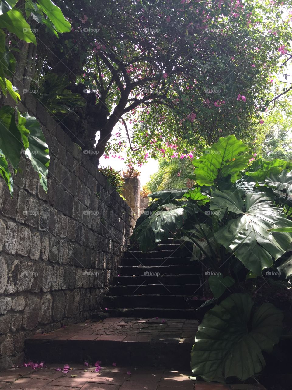 Stairs to Batik house