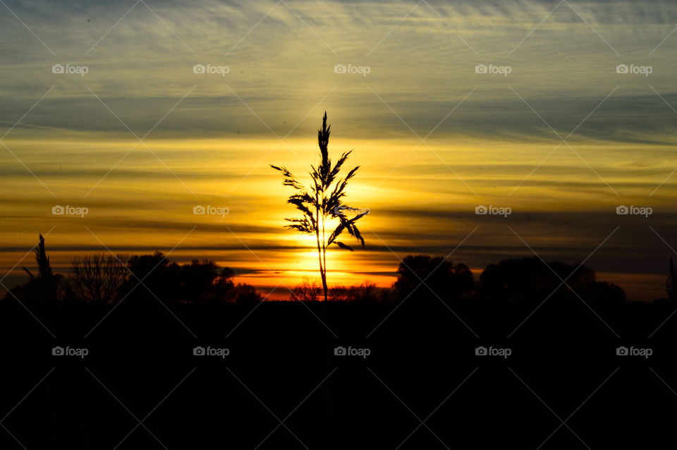 beautiful autumn sunset