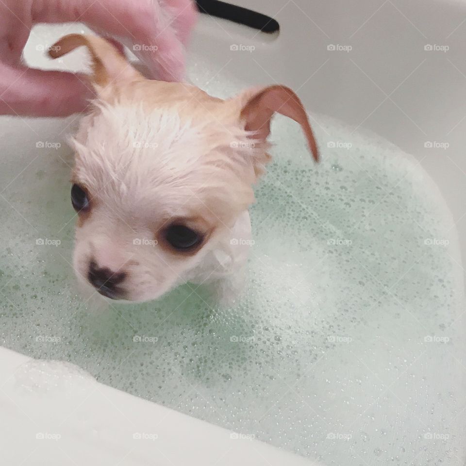 Bath time