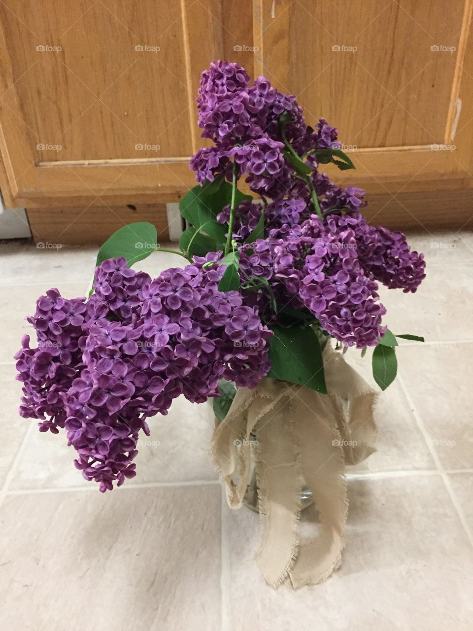 Butterfly Shaped Lilac Flowers. @chelseamerkleyphotos Copyright © CM Photography May 2019.