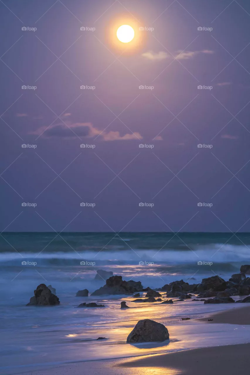 🌕🌊