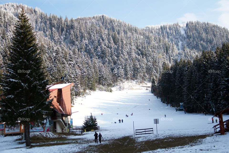 Spring in Poiana Brasov, Romania