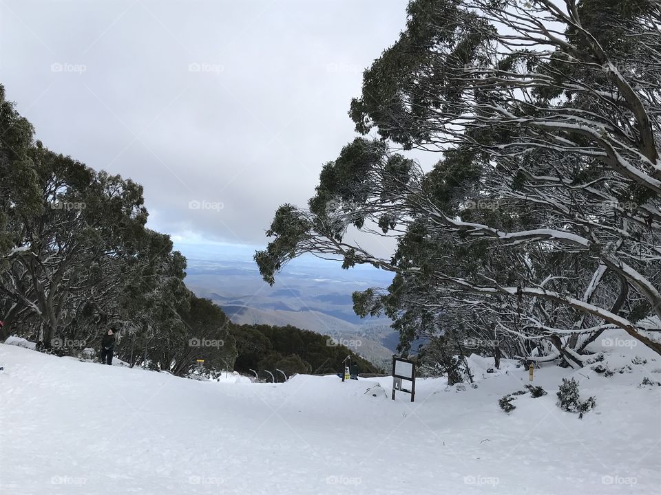 View of the snow and landscape of Mt Baw Baw Melbourne Australia 