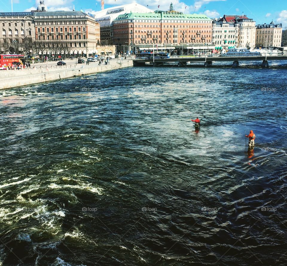 Fishing in central Stockholm 