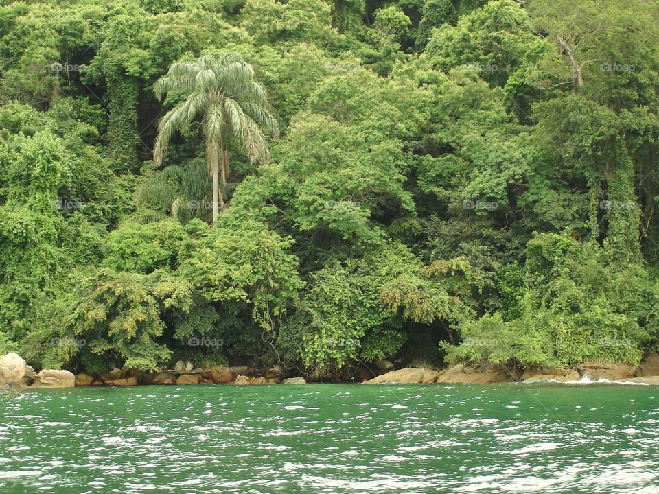 Angra dos Reis in Green