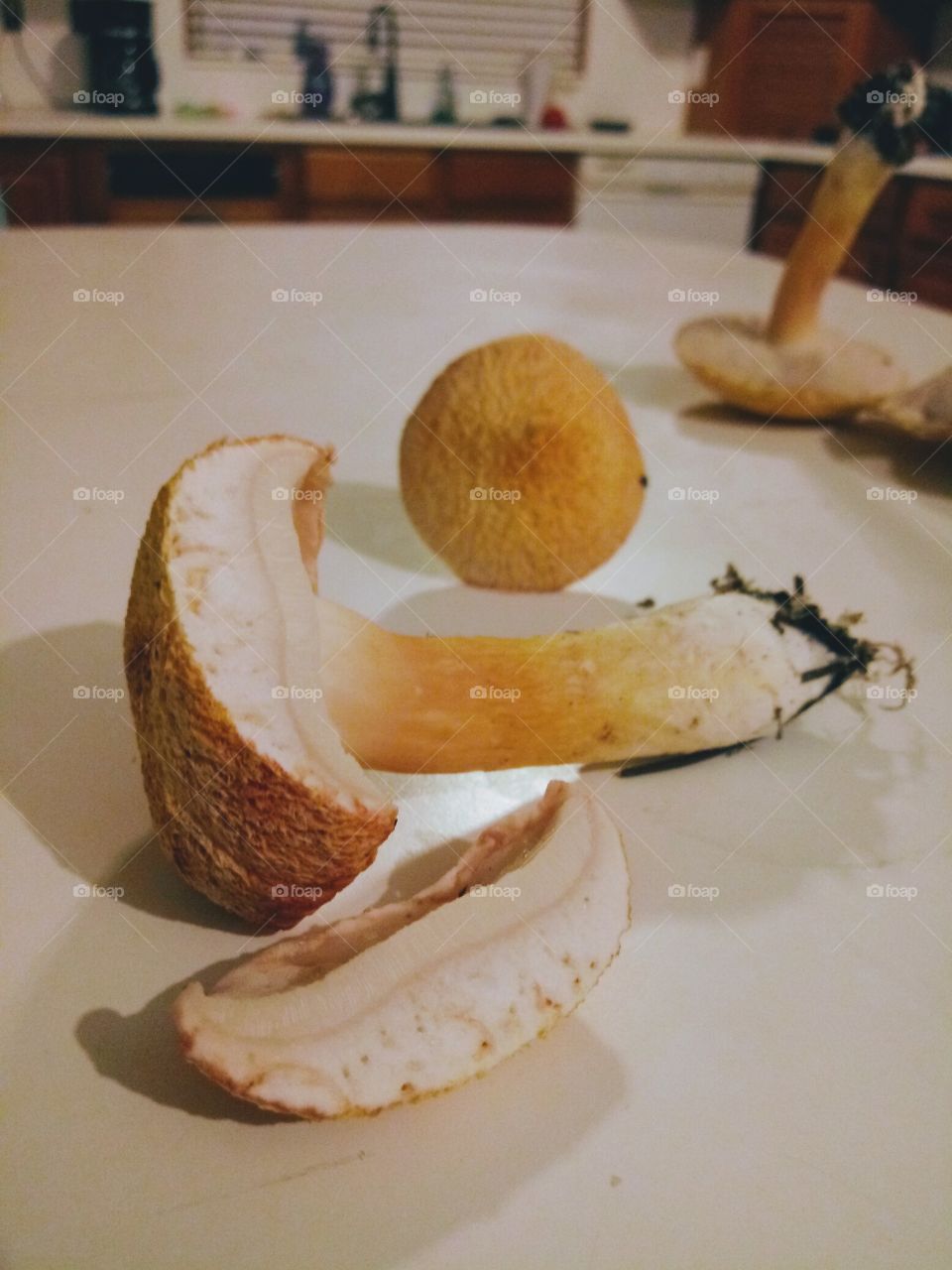 a collection of foraged bolete porcini mushrooms on a kitchen counter