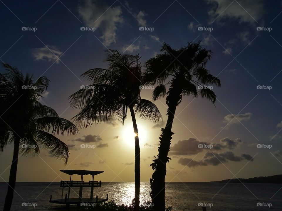 Sunset with  palmtrees