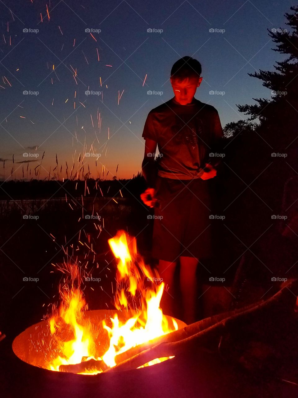 fireplace in Minnesota