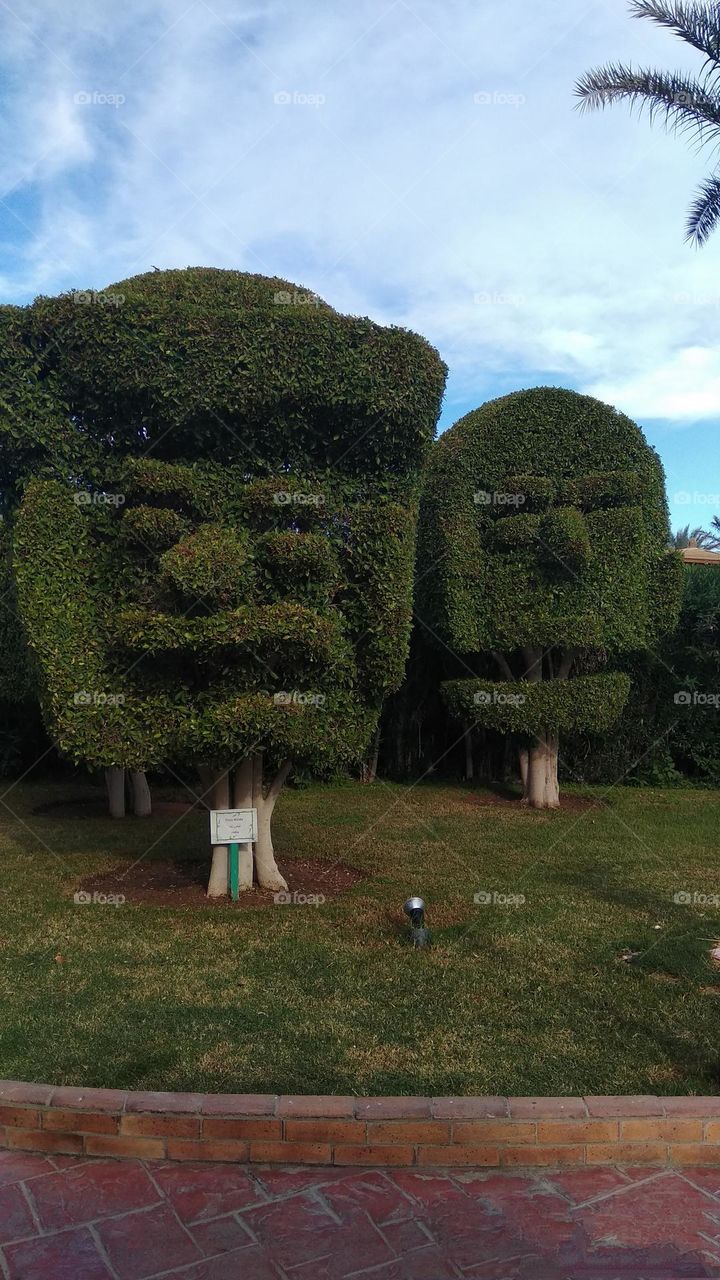 be authentic go green