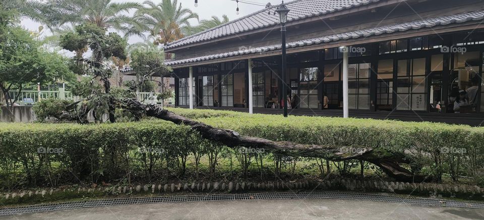 Taiwan Hualien Railway Cultural Park