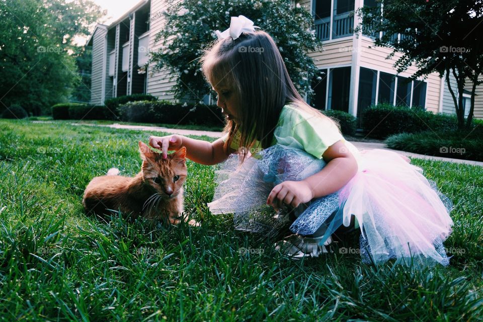 Pretty kitty 