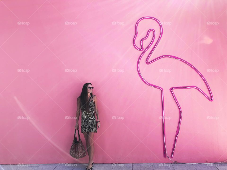 Pink flamingo