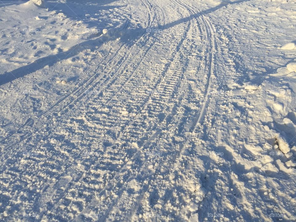 Snow Tracks