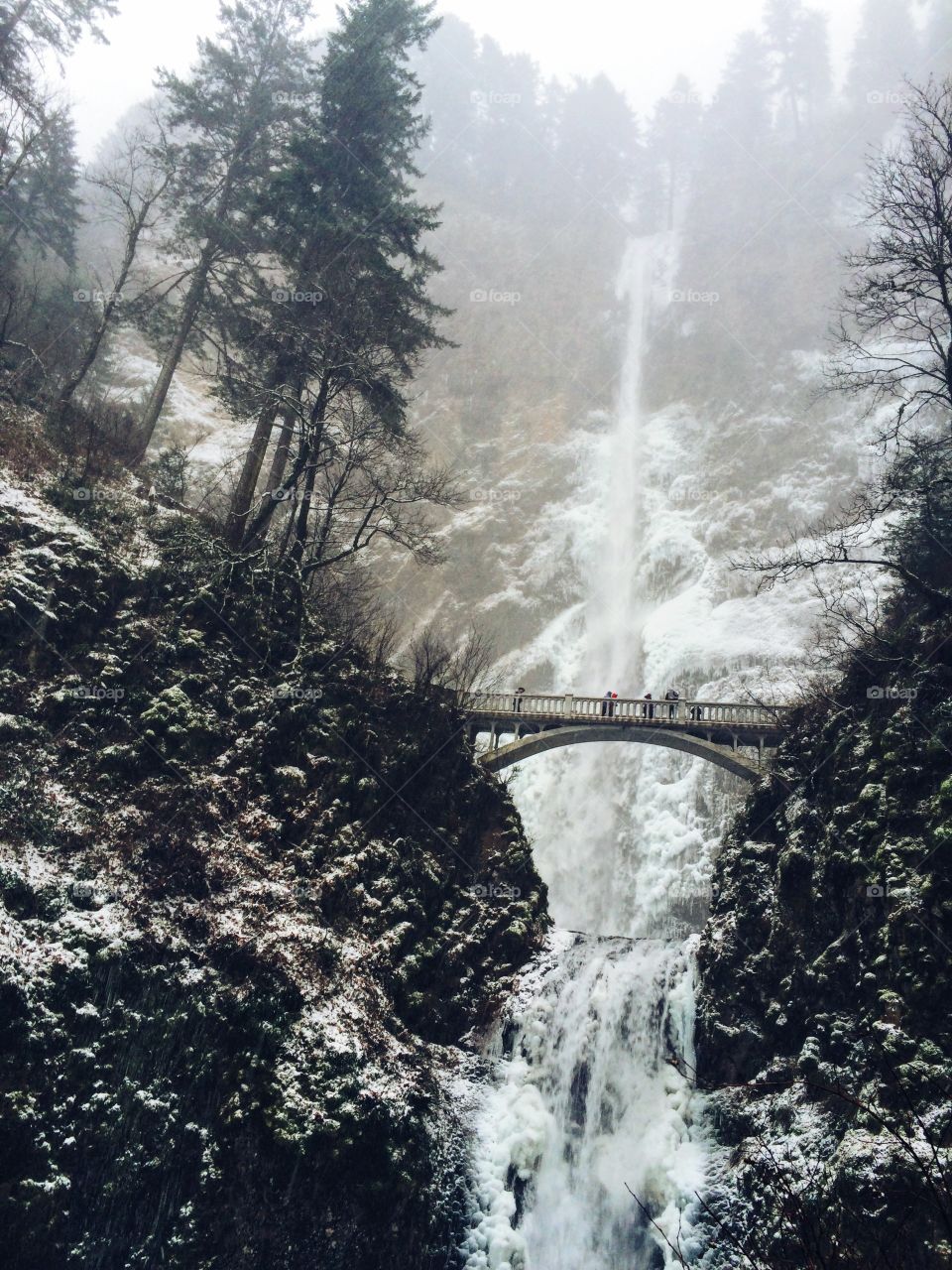 Frozen falls