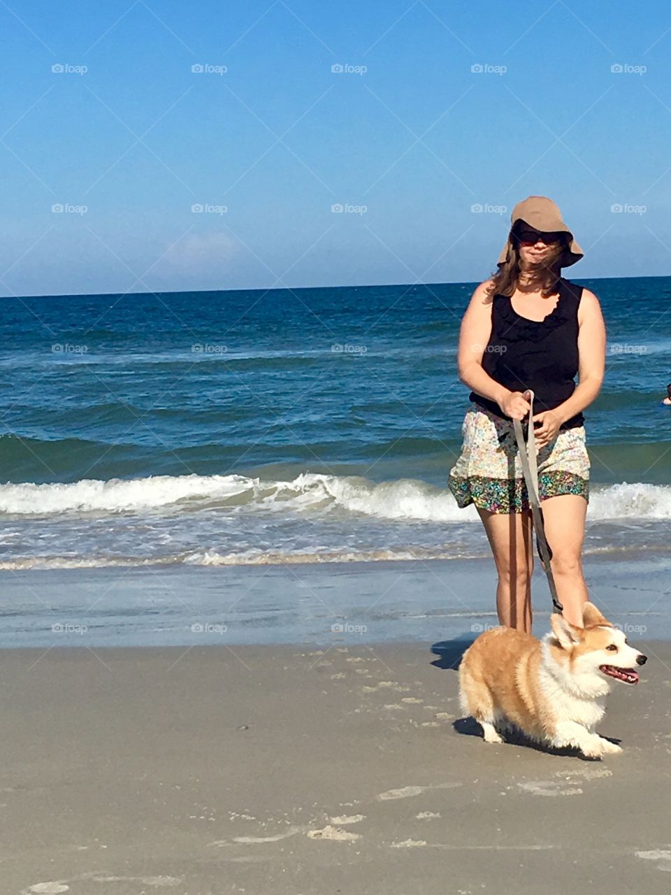 Puppy Beach