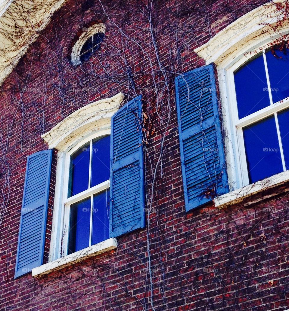 Blue shutters 