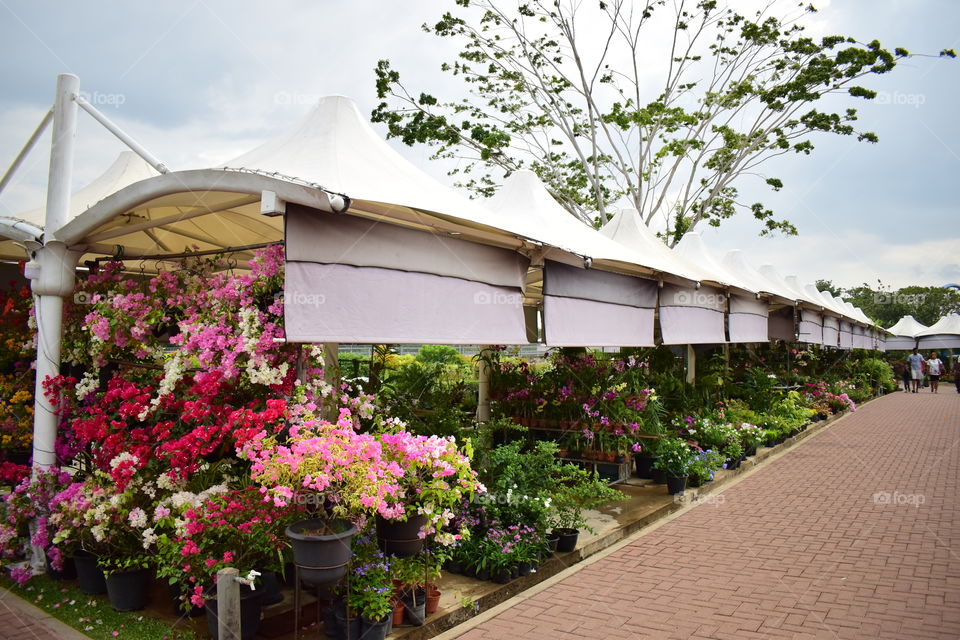 Nursery shops at Diyatha Uyana, Sri Lanka.