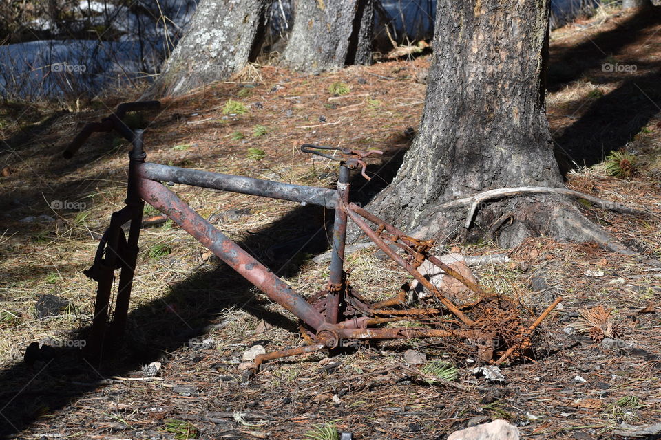 Old rusty bicycle 