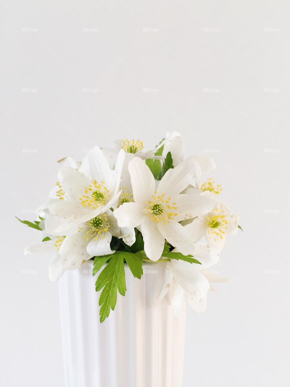 Flowers in vase