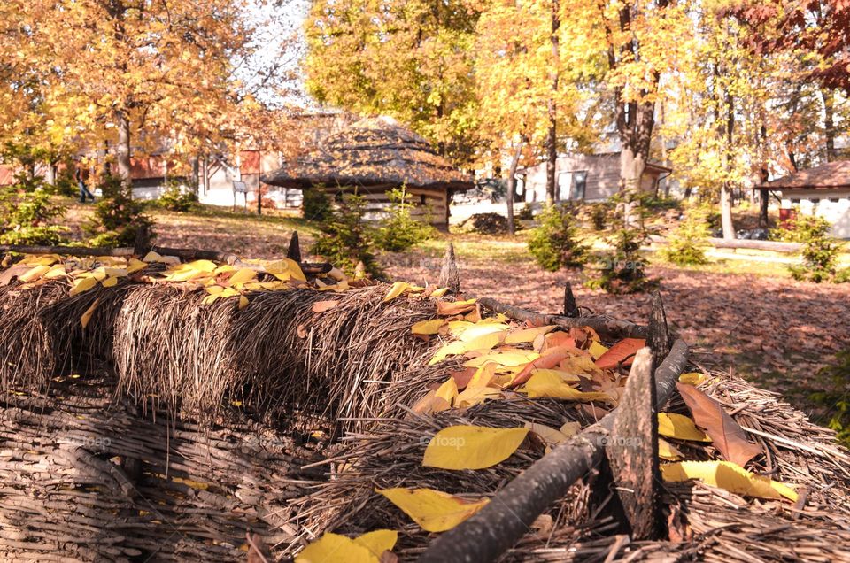 Autumn in the Village