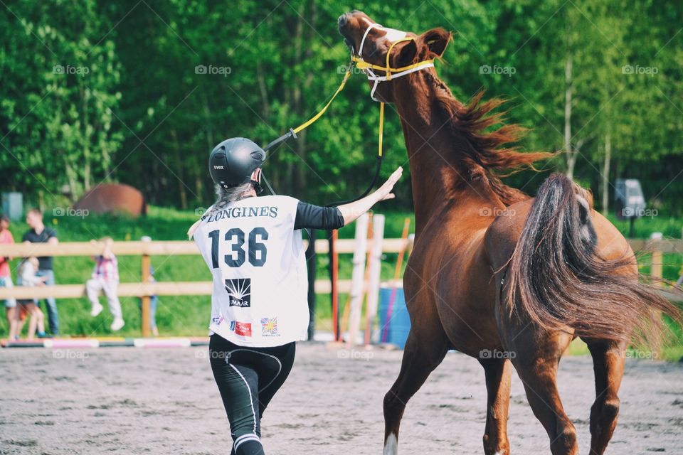 Horse show 