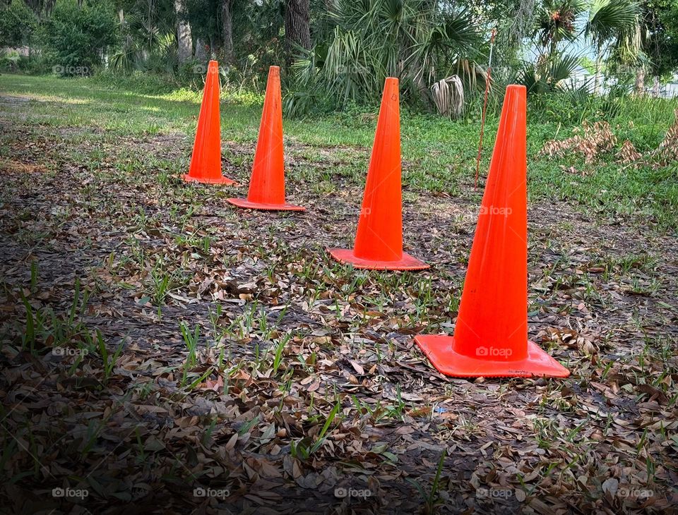 Vivid traffic cones.