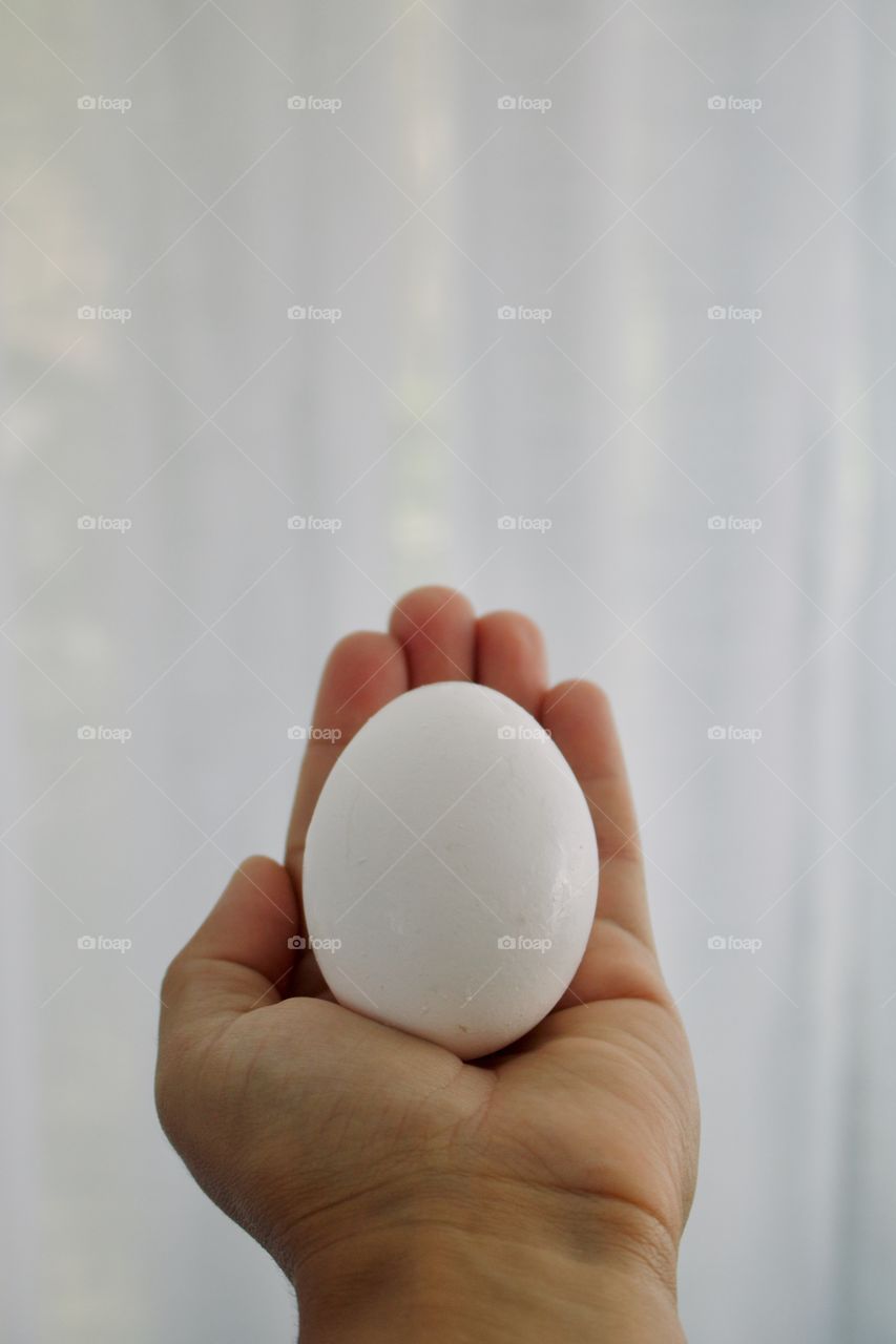 An egg in the hand 