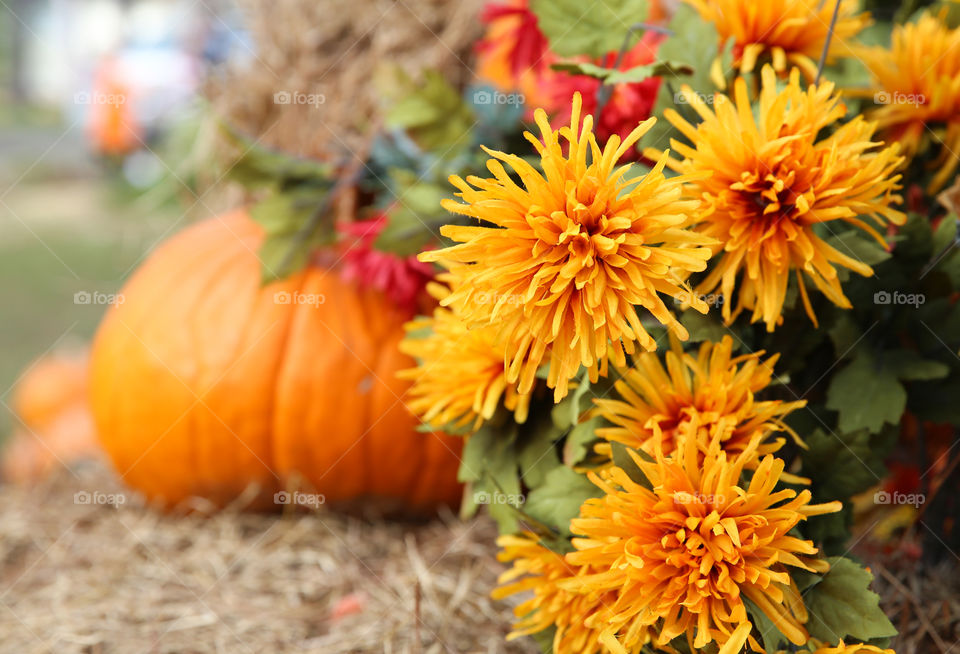 Autumn Decoration