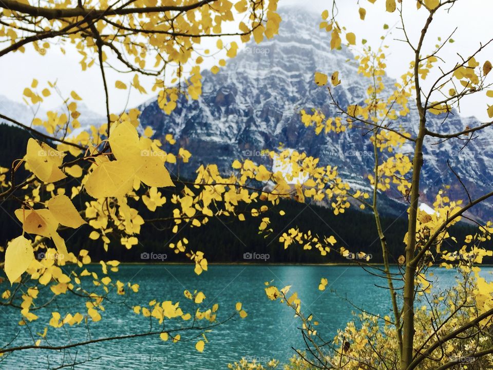 Fall 🍂🍂🍂 Banff NP
