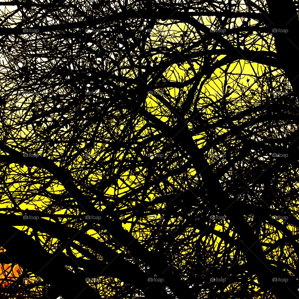 There goes another day...tatA