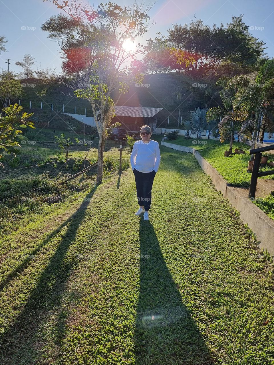 Where the green blends in with the blue of the sky