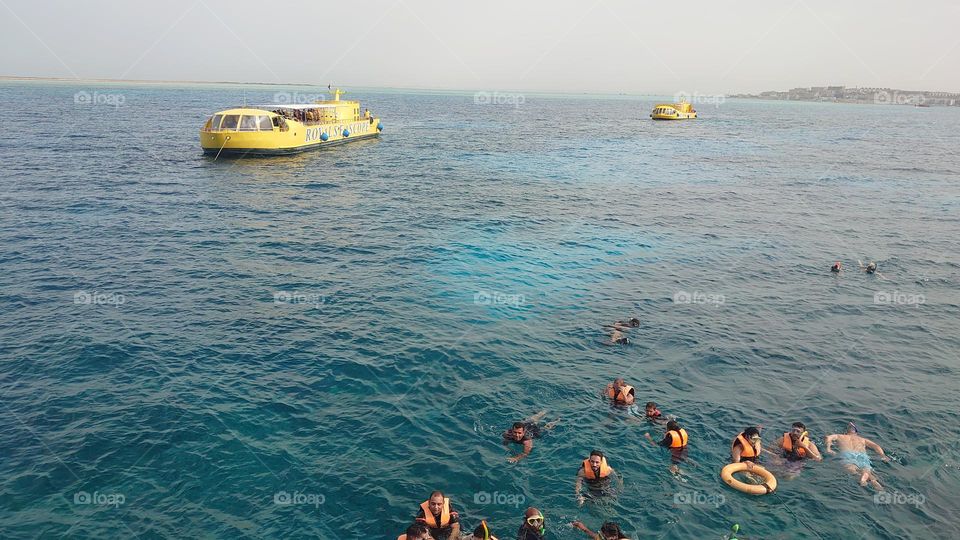 swimming hurghada summer