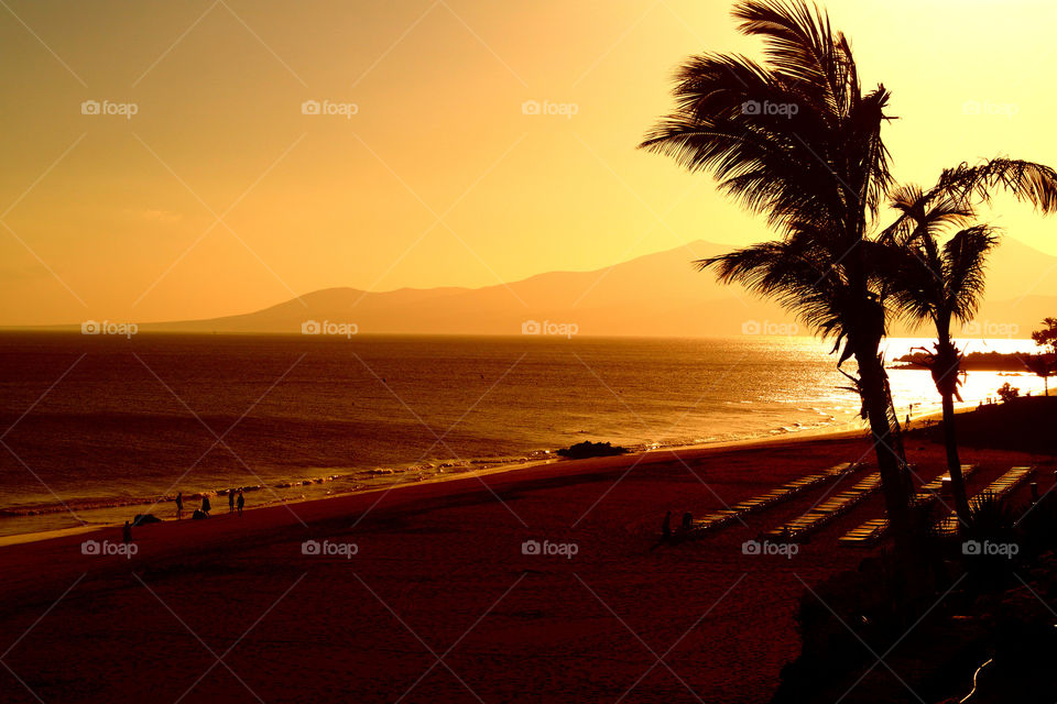 Scenic view of beach