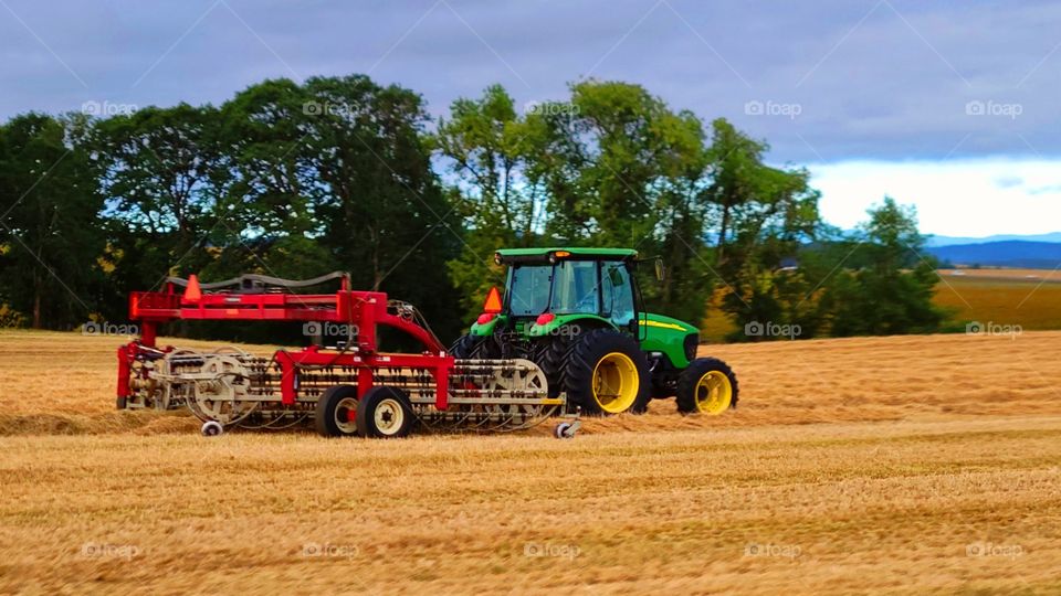 Baling up the hay