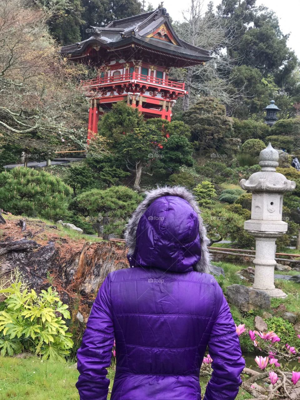 A woman in a purple coat admiring a Japanese temple
