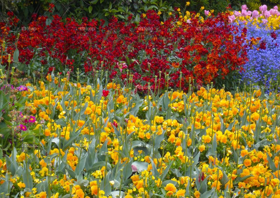 ST. JAMES PARK LONDON, ENGLAND