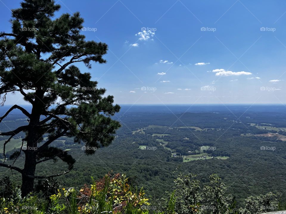 Overlook from Pilot Mountain 