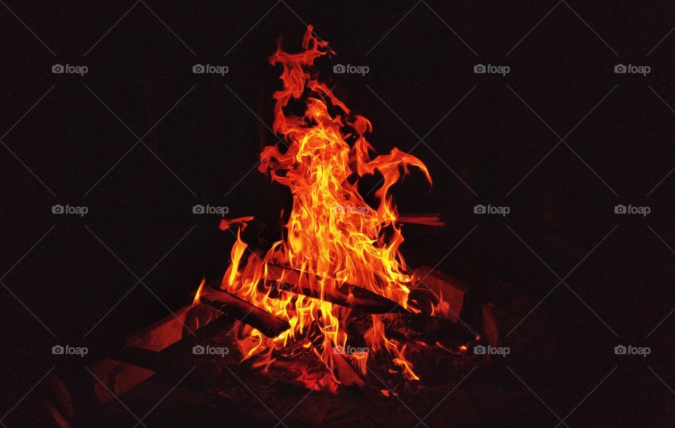 Close-up of campfire