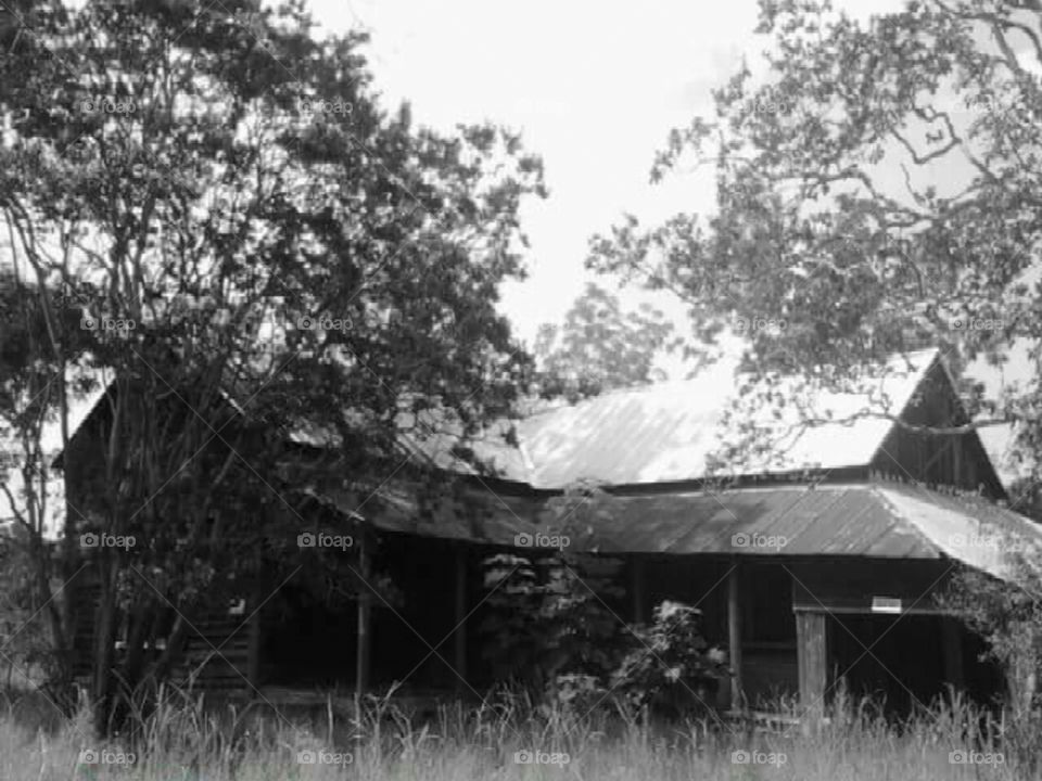 Monochrome South Georgia wooden home