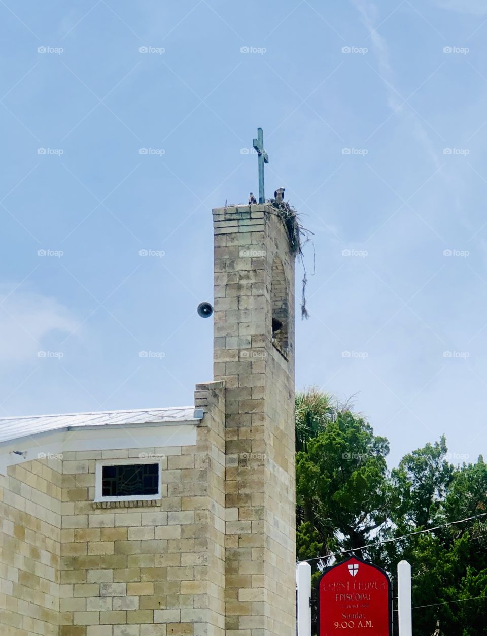 Osprey nest atop brick church steeple tower