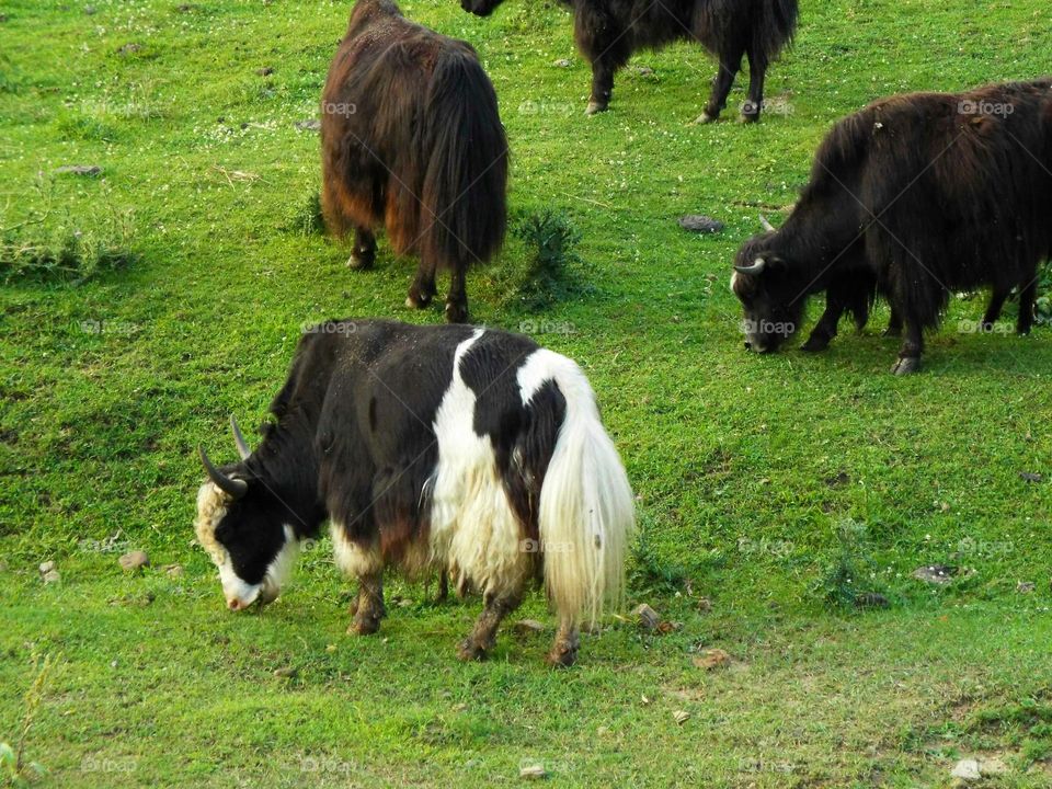 Driving the back Roads