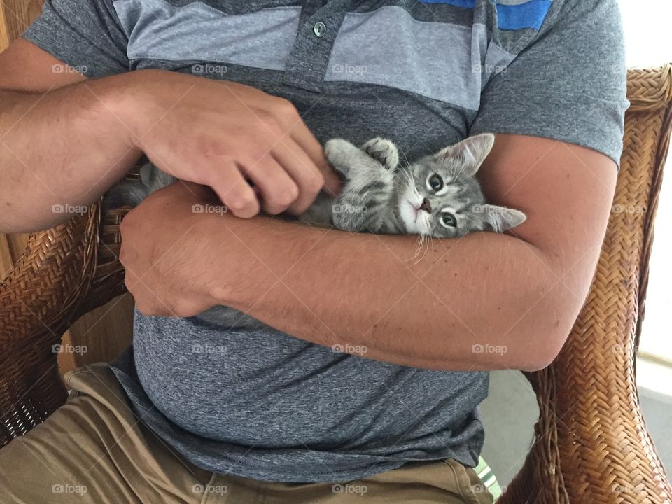 Kitten being held