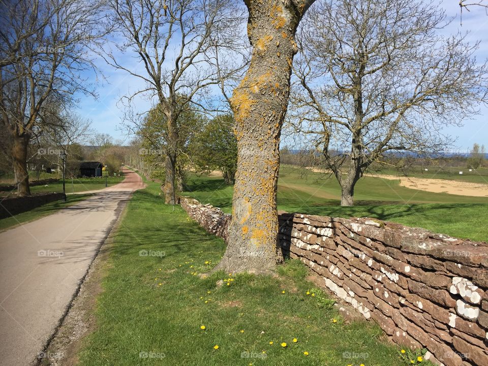 Catched at a walk today at Öland Sweden 