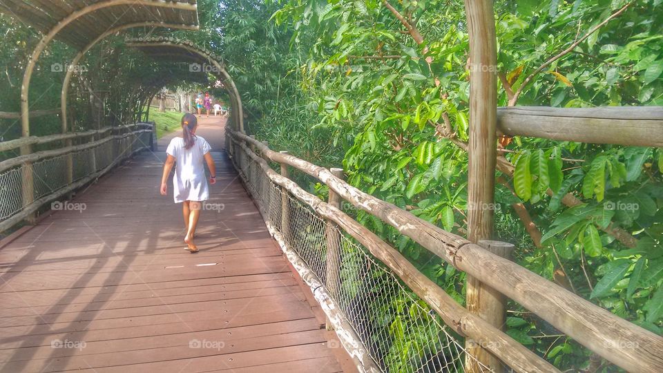 criança ponte verde