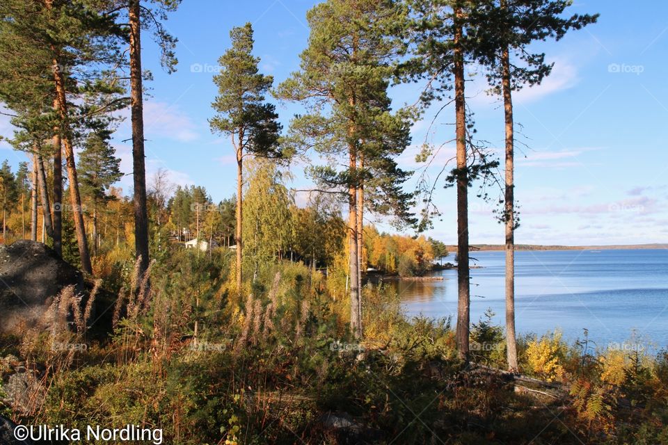 atum in Siknäs in the north of Sweden