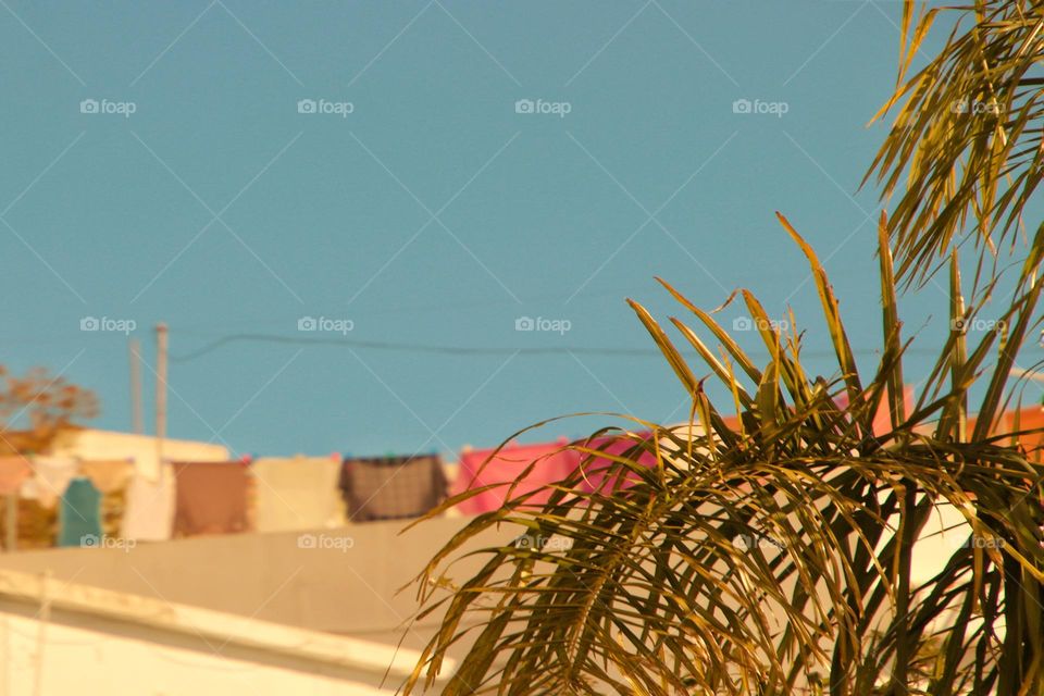 Colorful laundry on clothesline on a sunny day and a palm leaf in the foreground