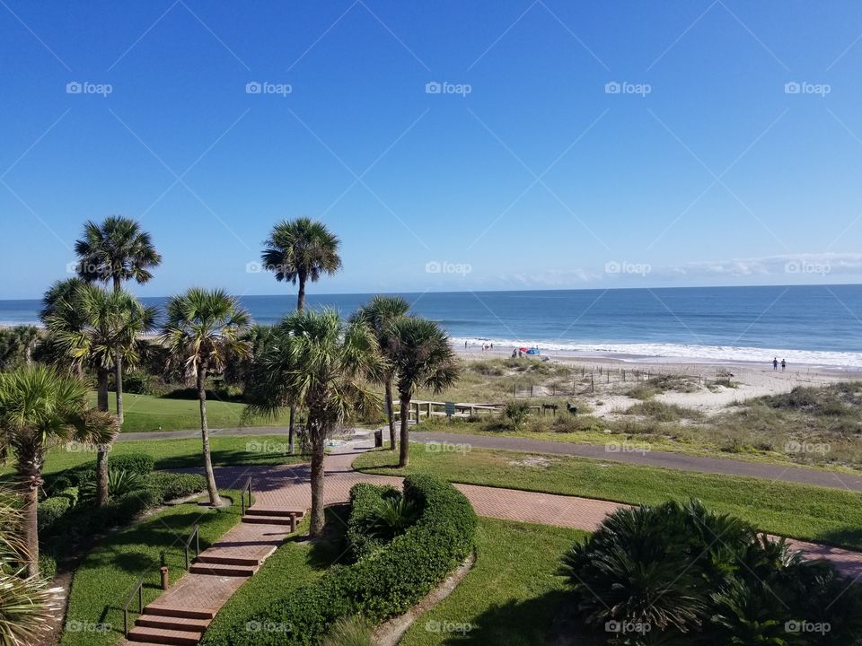 Amelia Island Plantation