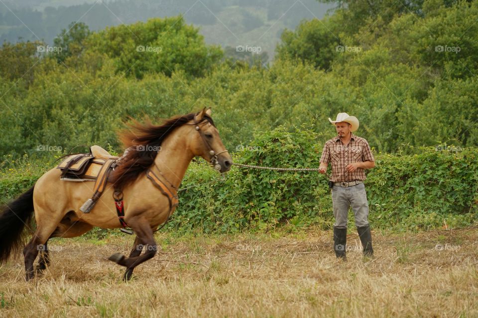 Cowboy Training A Horse