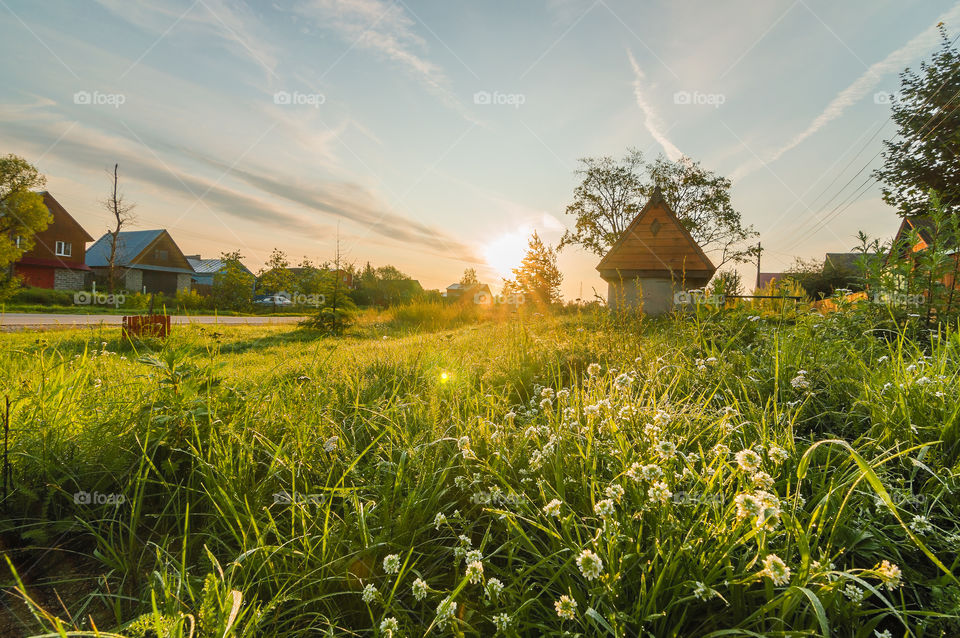 Morning in the village