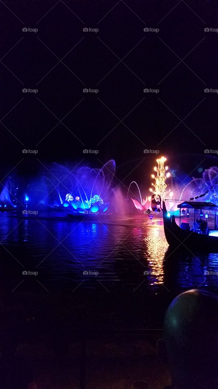 Disney's Animal Kingdom Theme Park
Rivers of Light Show 
Embrace the magic Nature during a nighttime  scene awash with captivating special  effects  music and animal folklore